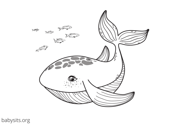 Free coloring sheets sea animals