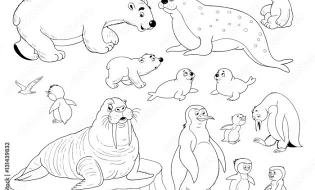 Arctic Animal Coloring Page A Creative Journey