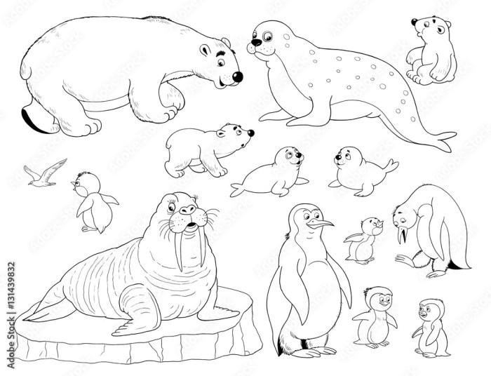 Artic animal coloring page