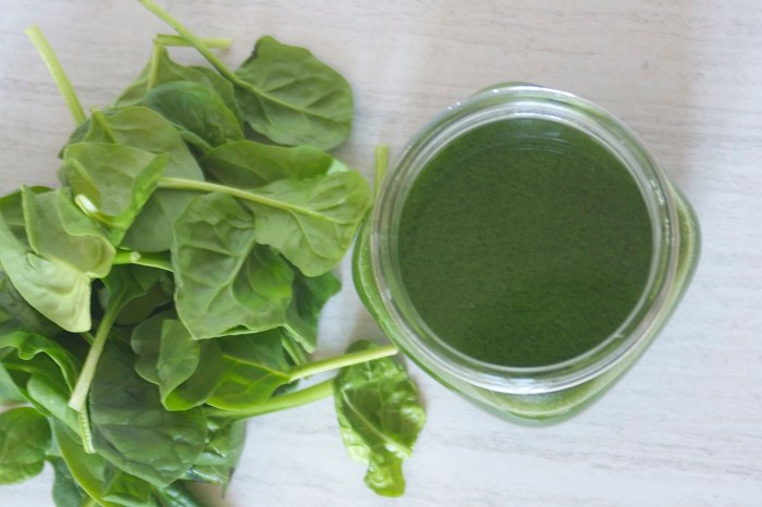 Diy green food coloring