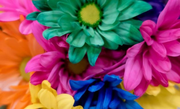 Flowers With Food Coloring DIY Fun