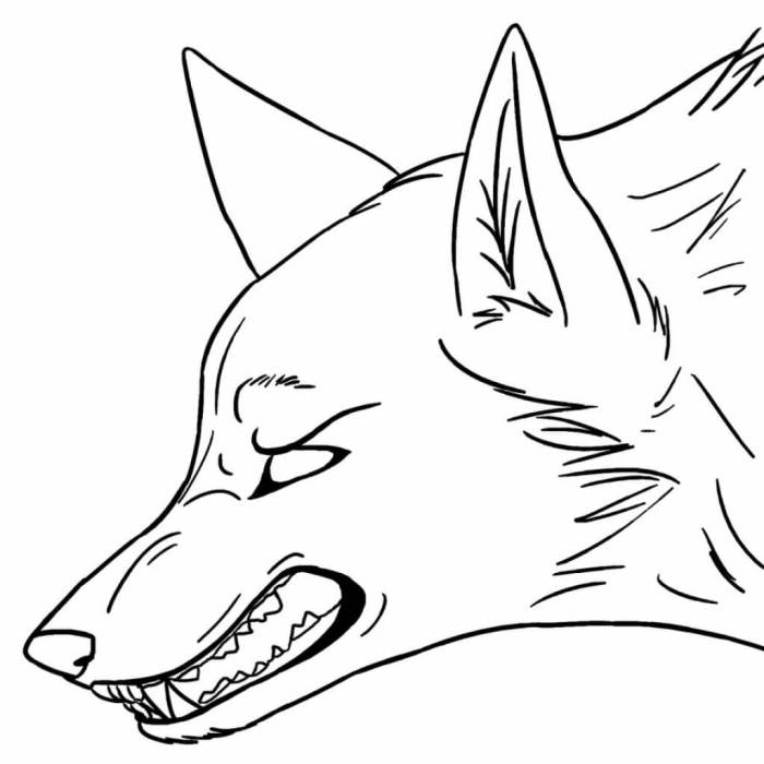 Firewolf anime wolf coloring pages