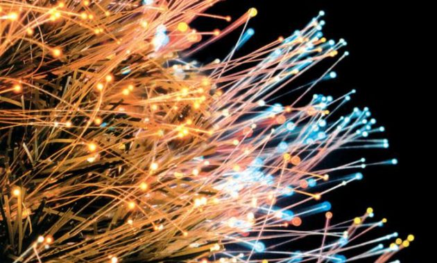 Fiber Optic Christmas Decor A Comprehensive Guide