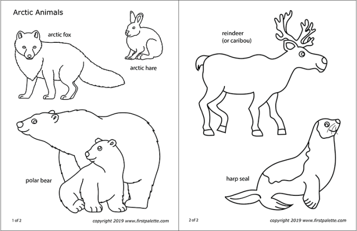 Artic animal coloring page