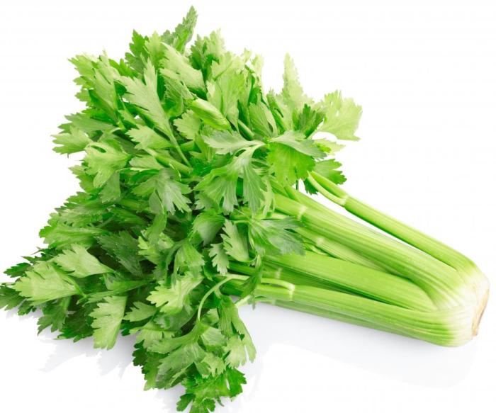 Celery in food coloring