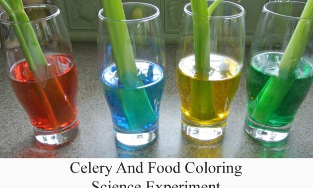 Science Experiments Food Coloring