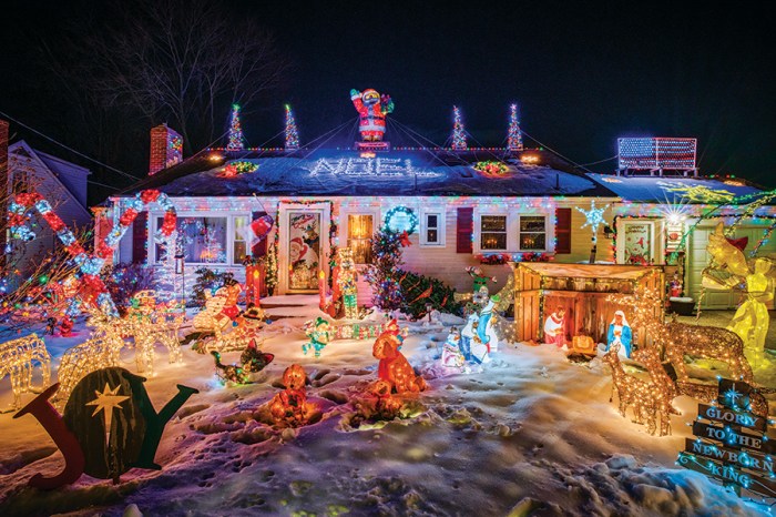 Christmas light decor near me