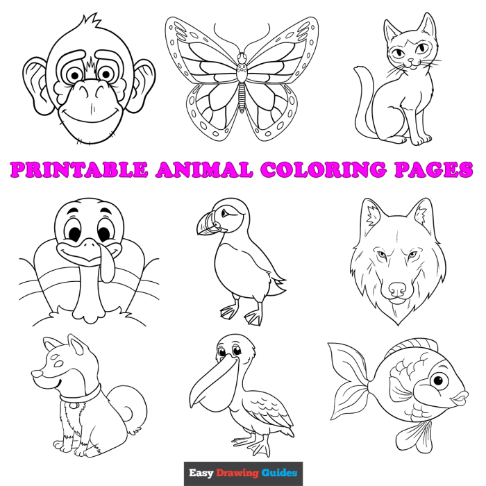 Free animal coloring sheets for kids