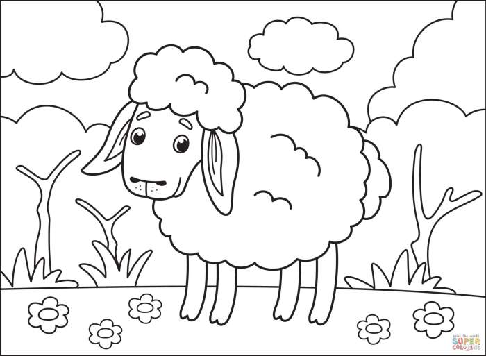 Animal coloring pages sheep