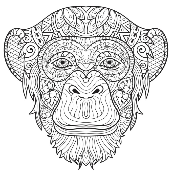 Crazy animals coloring book