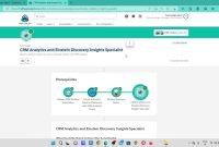 Crm analytics and einstein discovery insights specialist